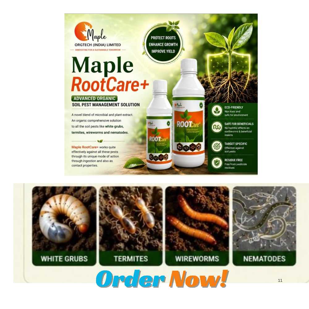 Maple Root Care+