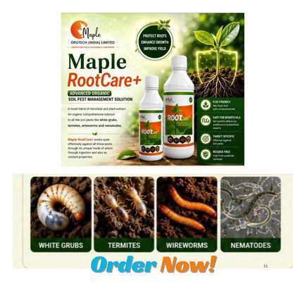 Maple Root Care+