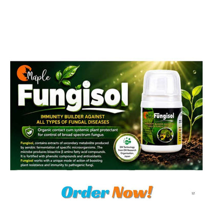 FUNGISOL