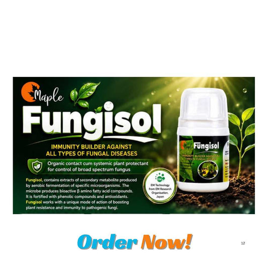 FUNGISOL
