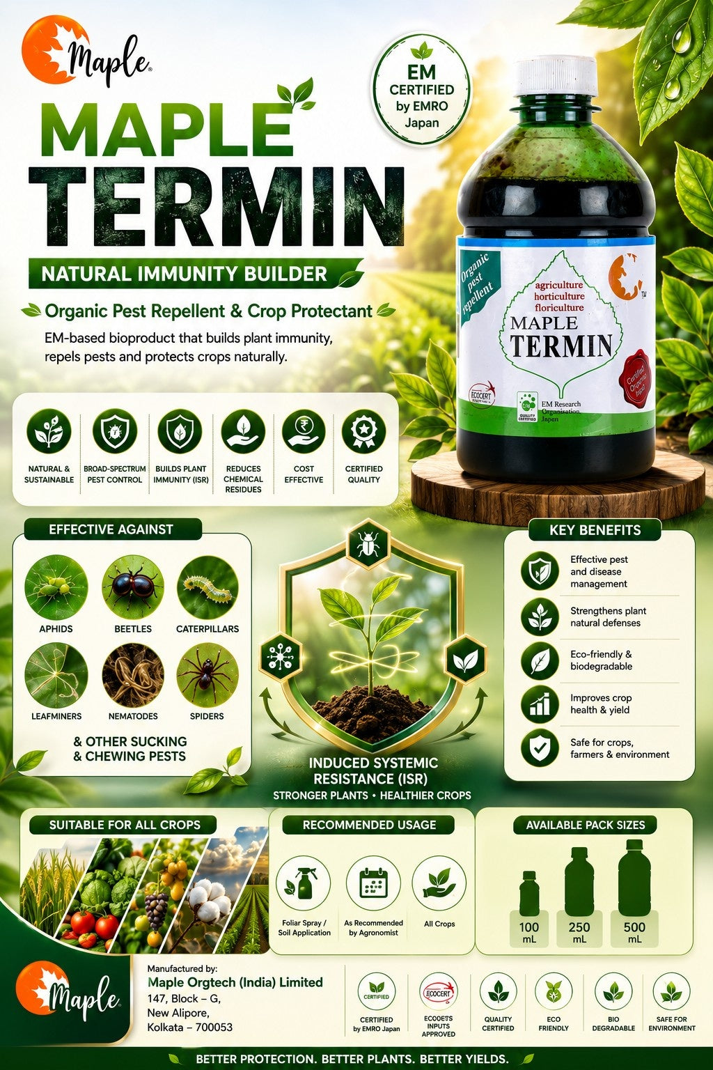 Maple Termin