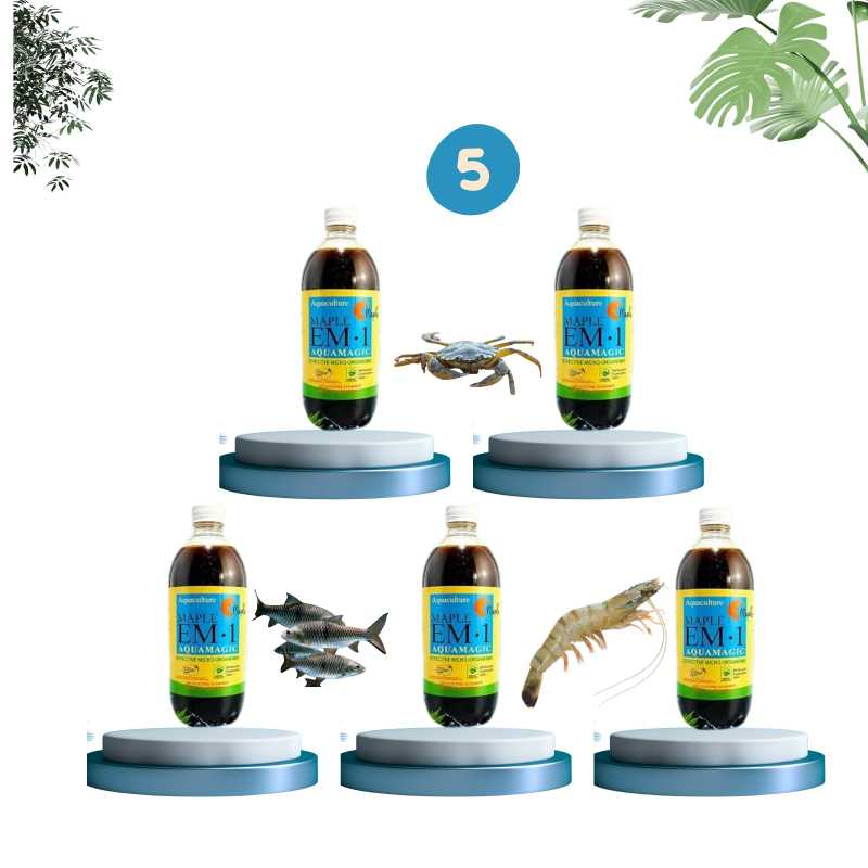 Maple EM1 AQUA MAGIC