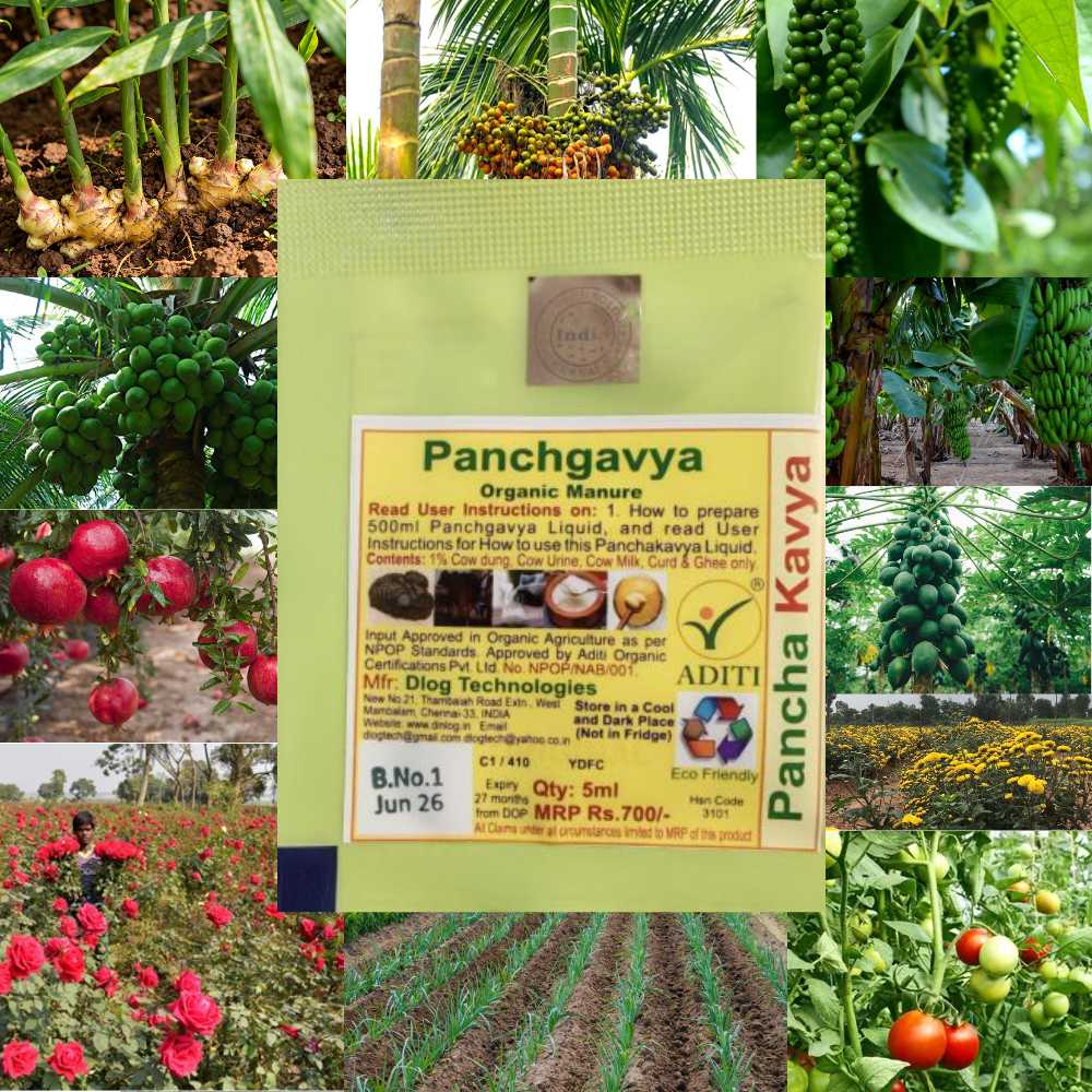 Panchagavya[LOM]