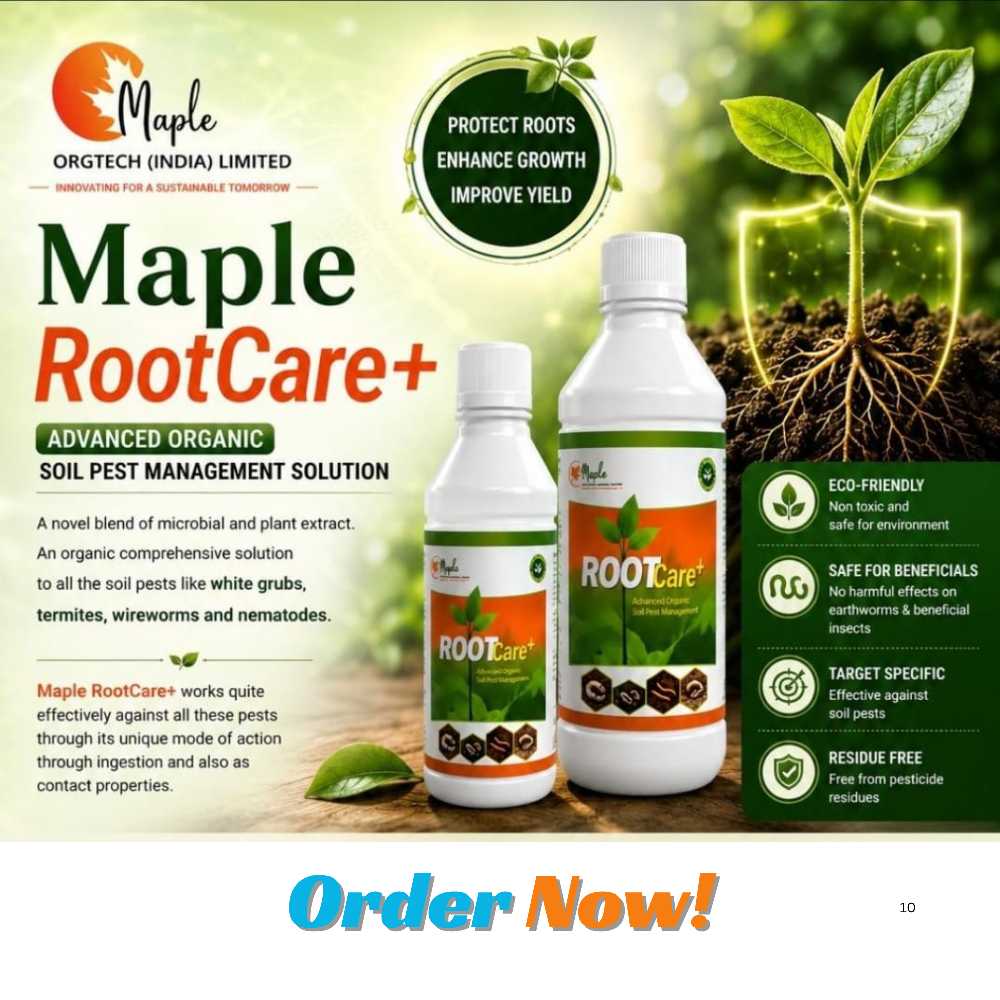 Maple Root Care+