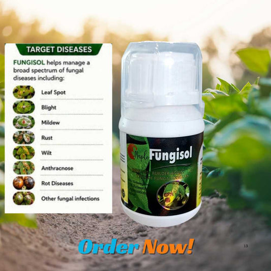 FUNGISOL
