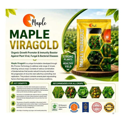 Maple VIRAGOLD