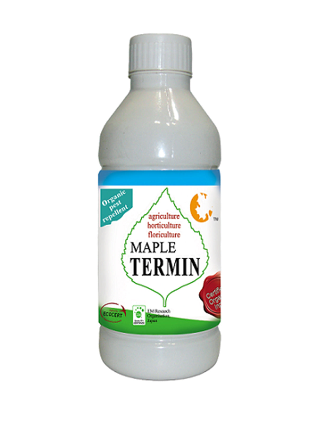 Maple Termin