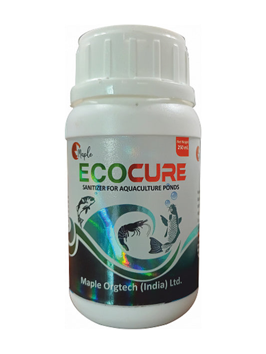 Maple ECOCURE